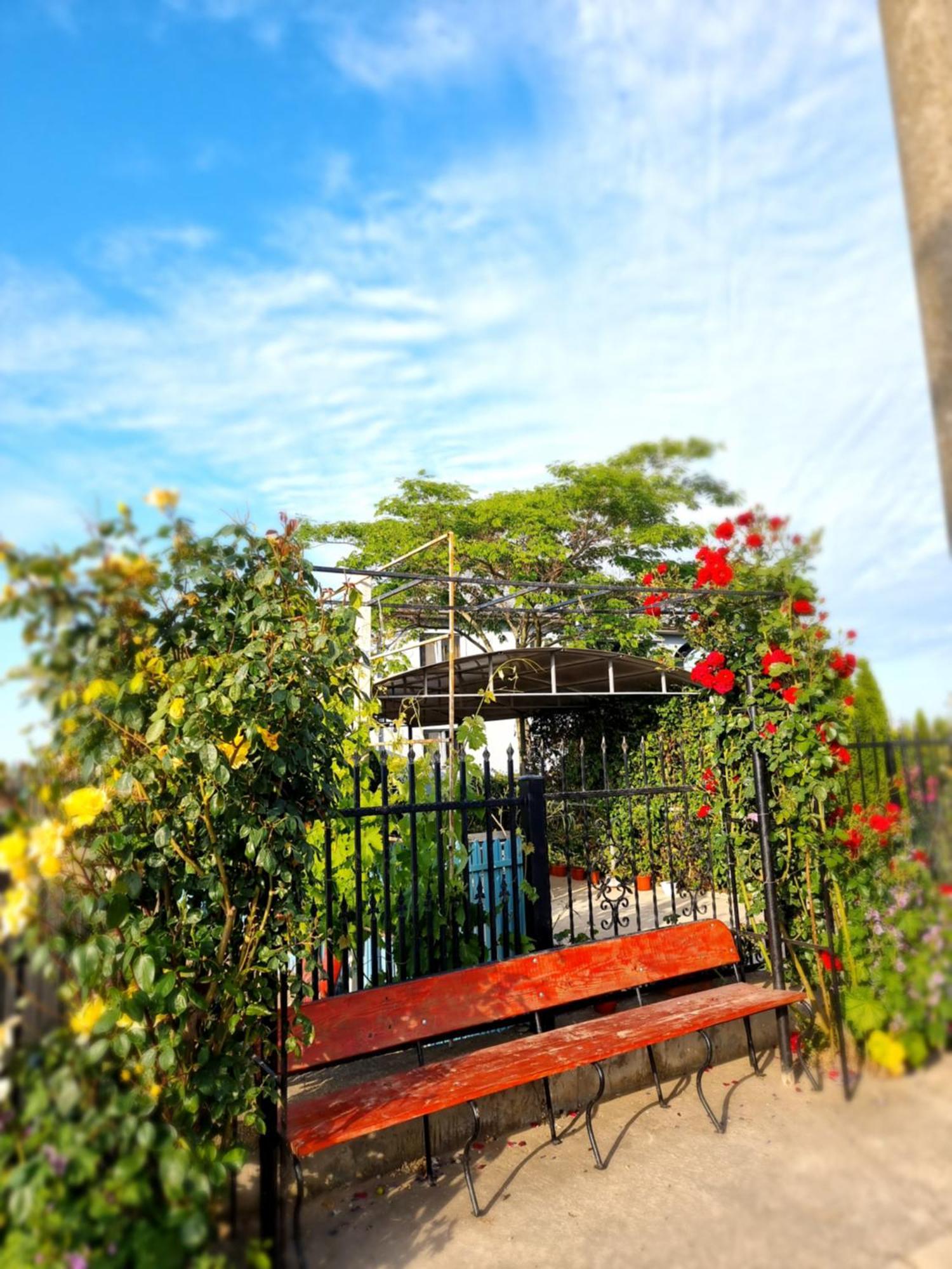 Casa Cu Trandafiri موريغيول المظهر الخارجي الصورة